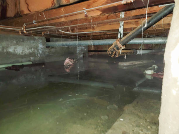 Best Basement water damage restoration  in Glendale, MO