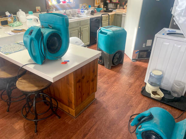 Best Carpet water damage restoration  in Glendale, MO