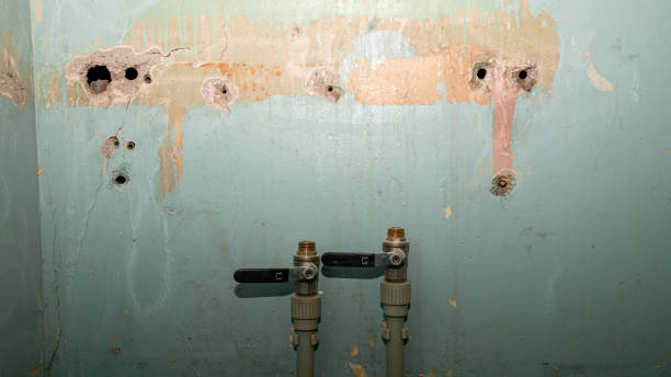Best Water damage contractors near me  in Glendale, MO