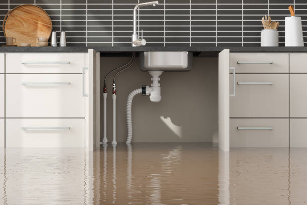 Best Water damage cleanup near me  in Glendale, MO